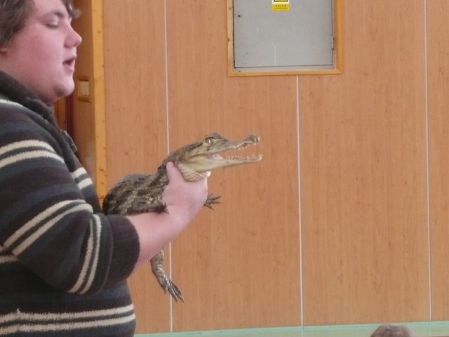 Plazi 28. 1. 2010