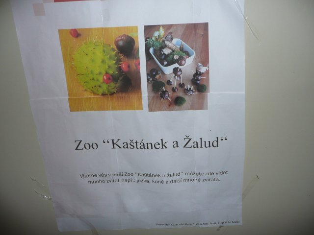 Podzimní inspirace - projektový den 15.10.2010