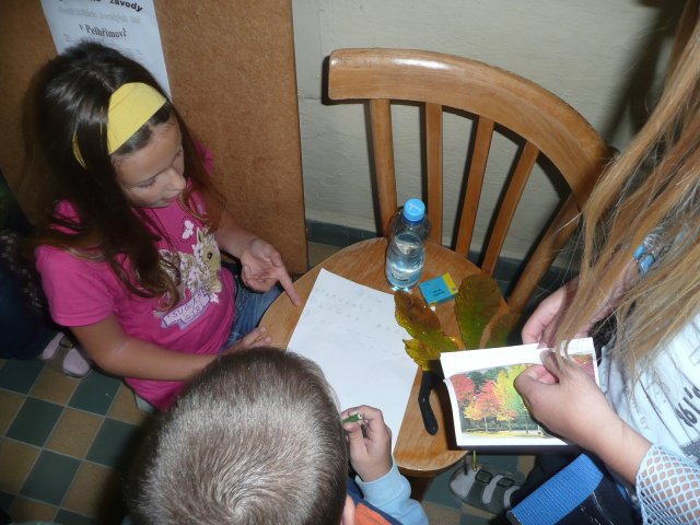 Podzimní inspirace - projektový den 15.10.2010