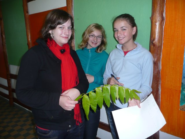 Podzimní inspirace - projektový den 15.10.2010
