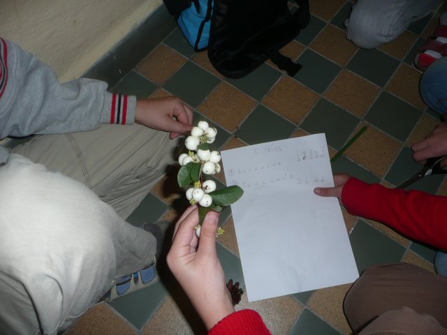 Podzimní inspirace - projektový den 15.10.2010