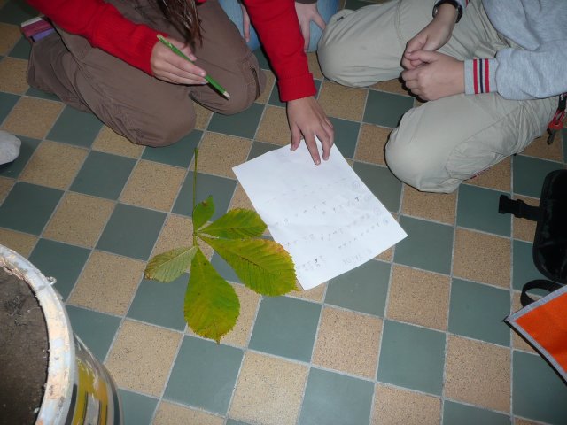 Podzimní inspirace - projektový den 15.10.2010