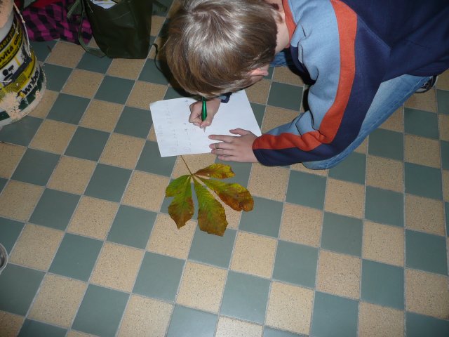 Podzimní inspirace - projektový den 15.10.2010