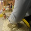 Vánoční dílna konaná v sobotu 27.11.2010  v prostorách školy