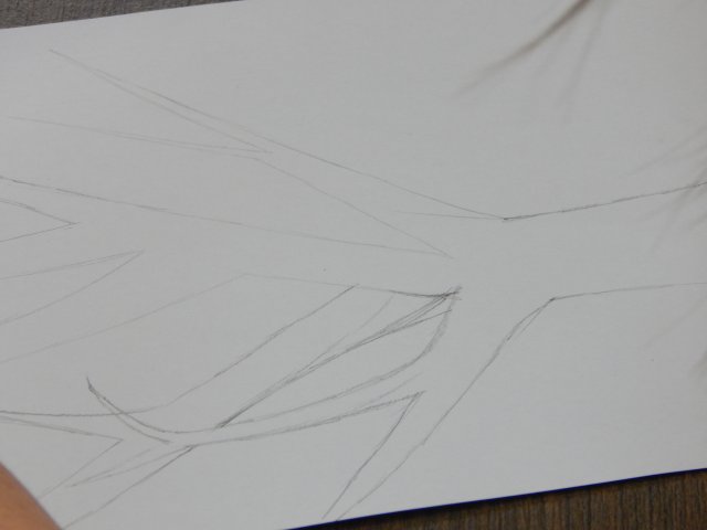 dscn4397