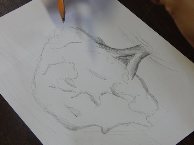 dscn4398