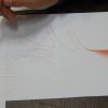 dscn4395