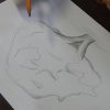 dscn4398