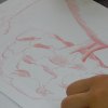 dscn4399