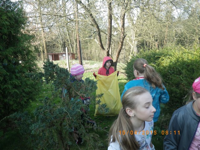 imgp0774