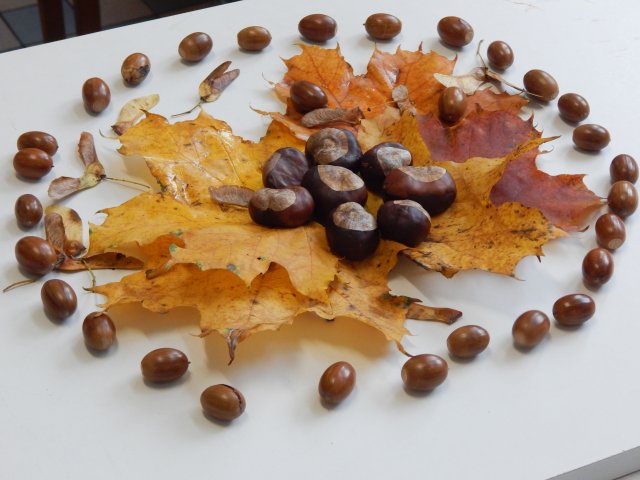 dscn9740