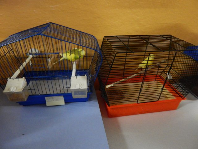 dscn2968