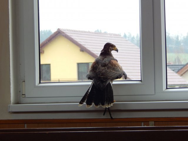 dscn3048