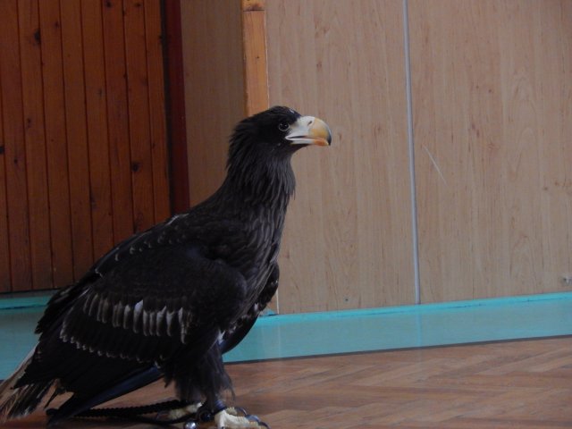 dscn3067