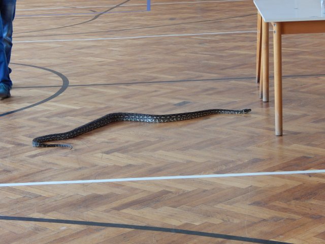 dscn3094