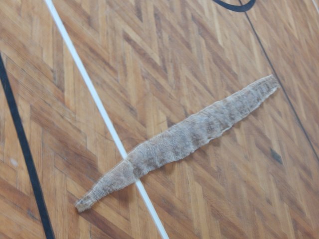 dscn3100