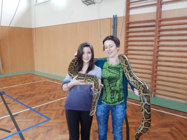 dscn3193