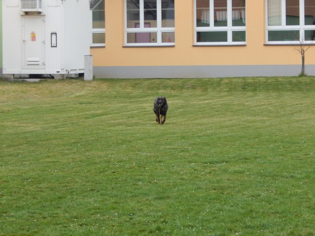 dscn3224