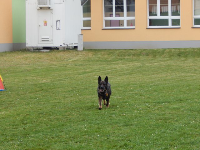 dscn3225
