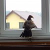dscn3048