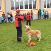 dscn3205