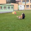 dscn3206