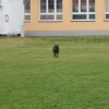 dscn3224