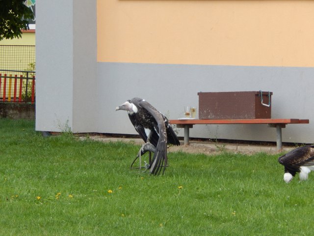 dscn0007