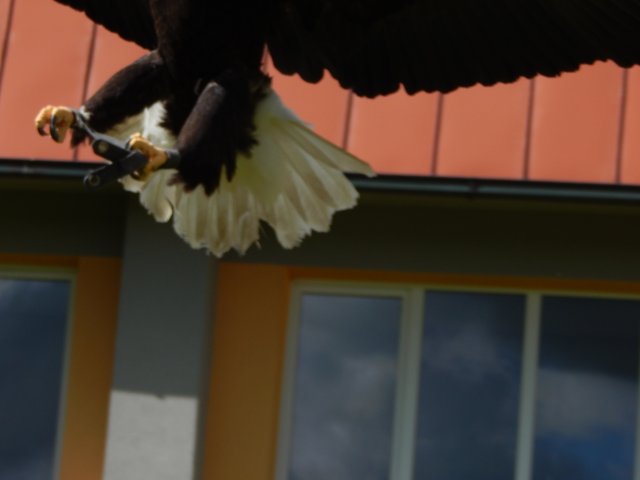 dscn0045