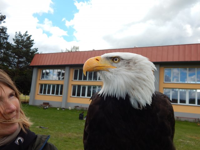 dscn0050