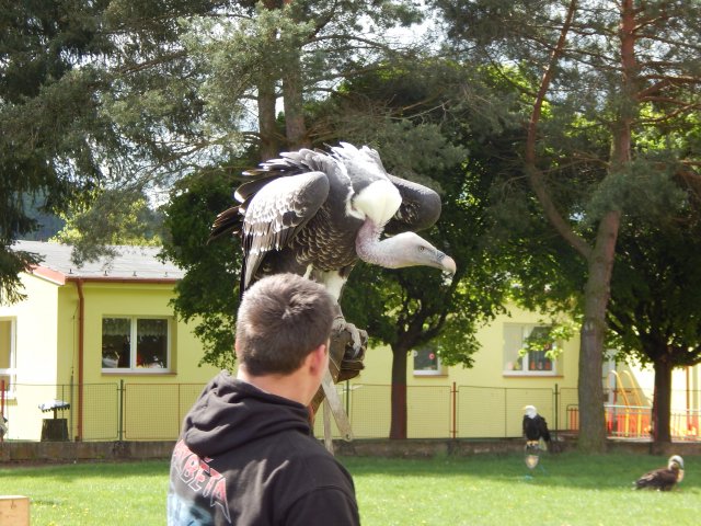 dscn0067