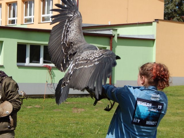 dscn0068