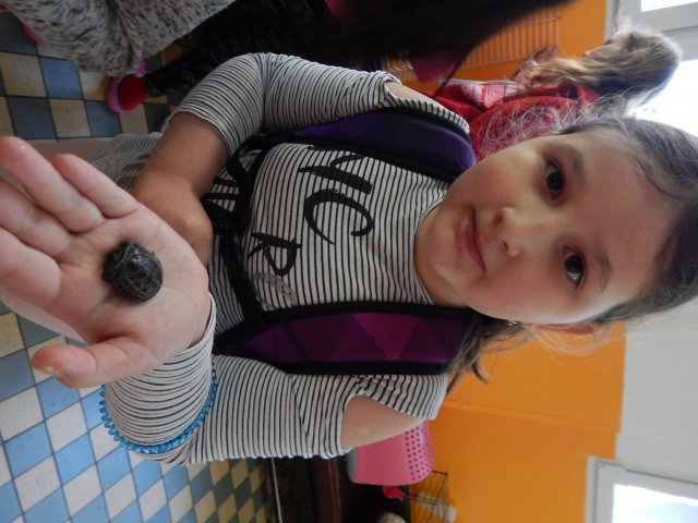 dscn9986