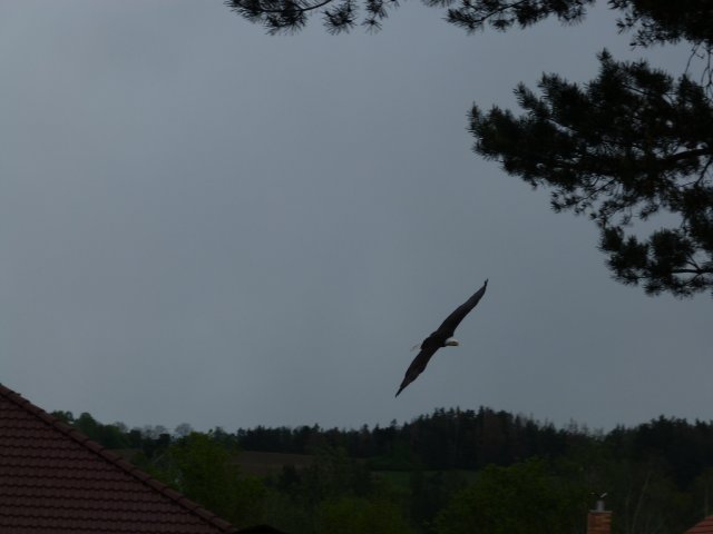 p1100331