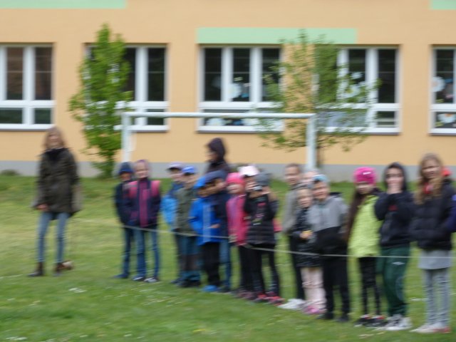 p1100334