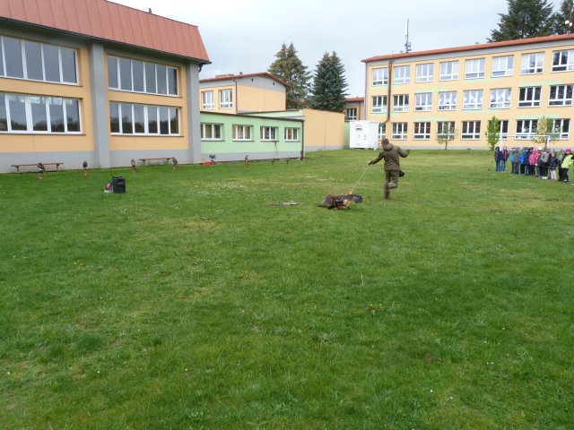 p1100339