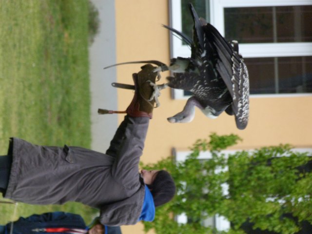 p1100346