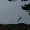 p1100331