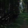 img_8599