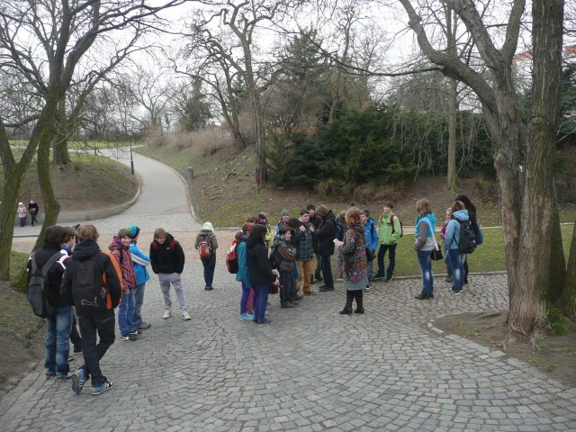 p1040049