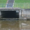 img_8442