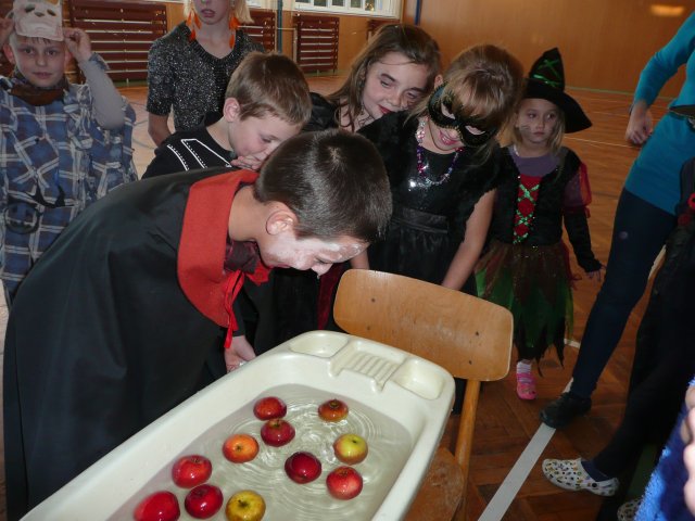 p1050234