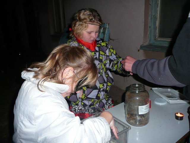 p1050354