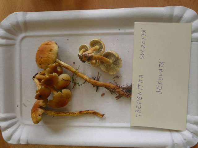 p1020888