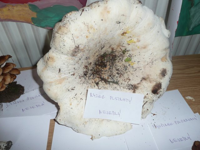 p1020920