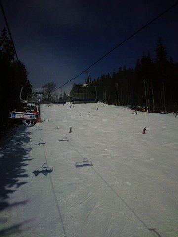 obraz0564