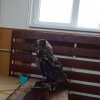 dscn5498