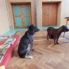 dscn5518