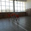 dscn7480