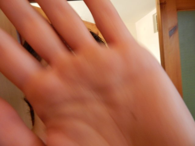 dscn2741